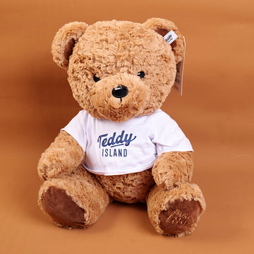 TEDDY ISLAND dark colour sitting bear plush doll with blue T-shirt-35CM